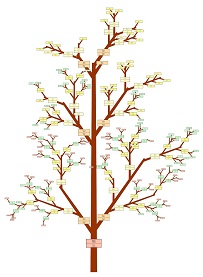 Sample 1 Six Generations